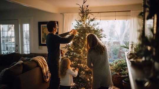 Ile w tym roku zapłacimy za choinkę? Są już oferty cenowe