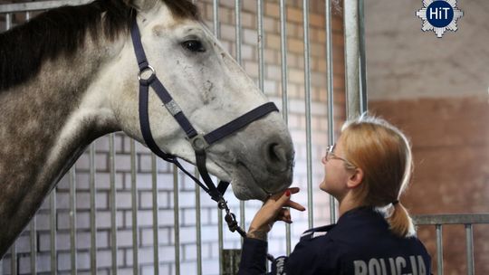 Jubileusz kobiet w polskiej policji