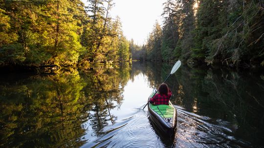 Majówka w sercu natury – odkryj wiosenne piękno Pojezierza Brodnickiego z pokładu kajaka