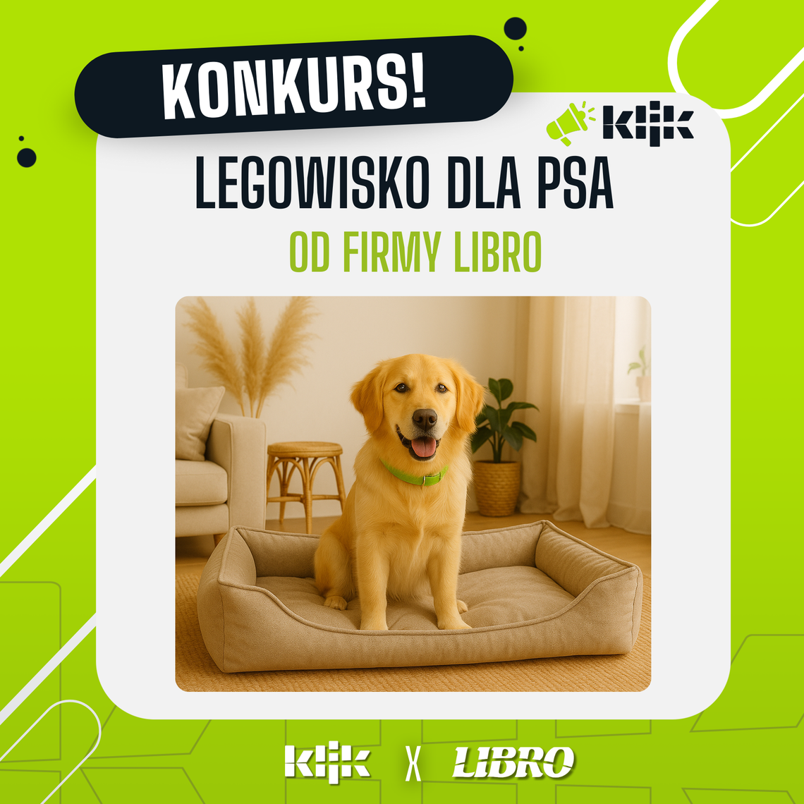 Regulamin konkursu na Facebooku - Legowisko dla psa od firmy Libro