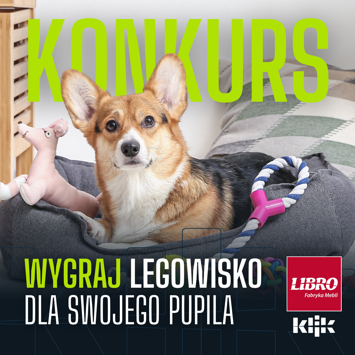 Regulamin konkursu na Facebooku -Wygraj legowisko dla pupila od firmy Libro